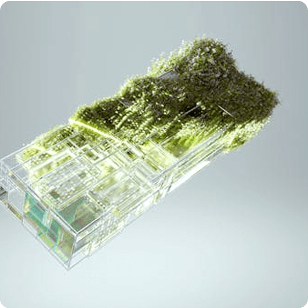 climate-and-sustainability